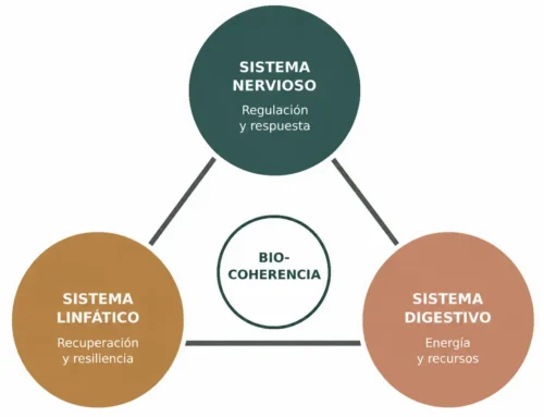 biocoherencia